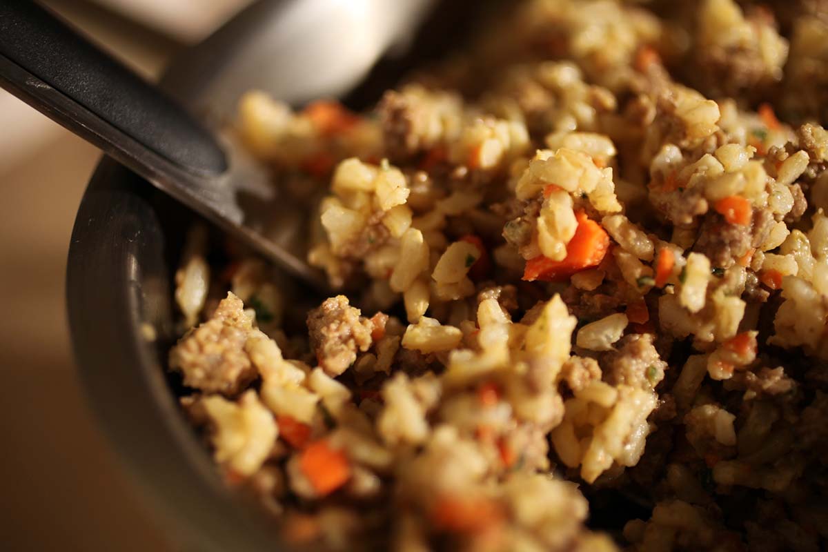 homemade dog food with ground beef