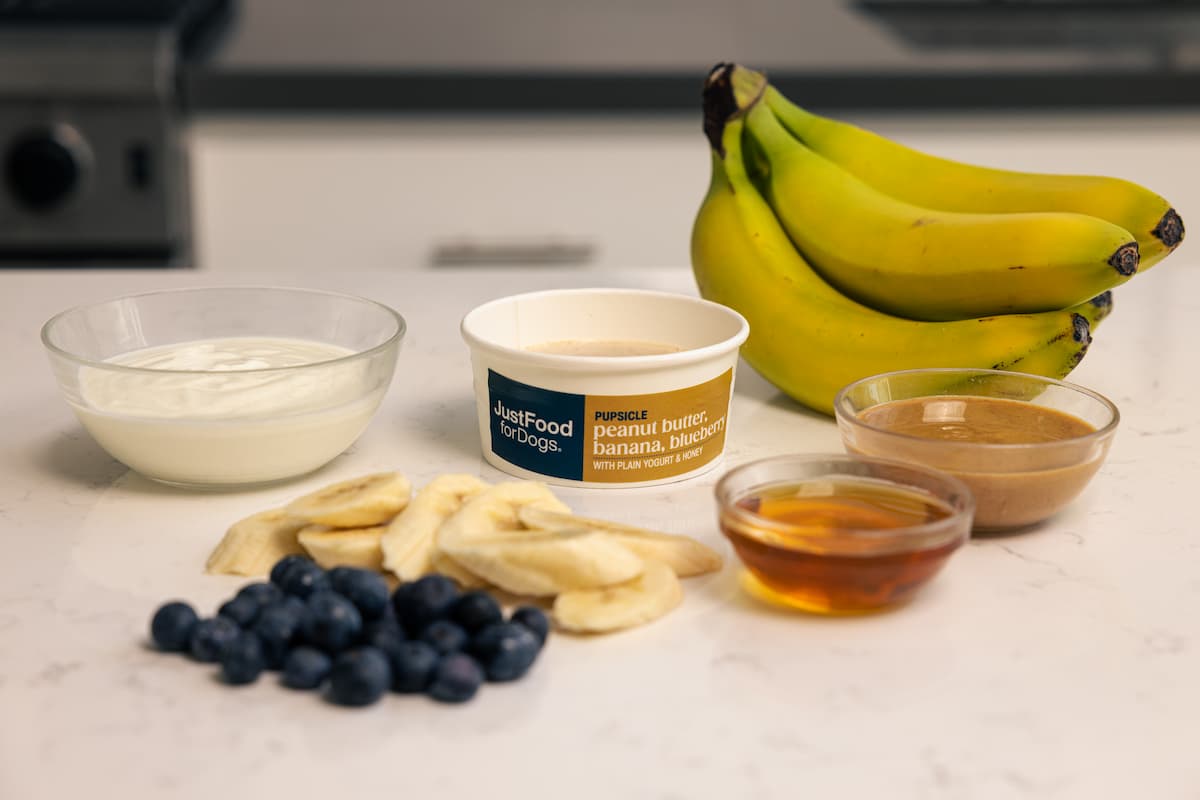 pupsicle recipe ingredients