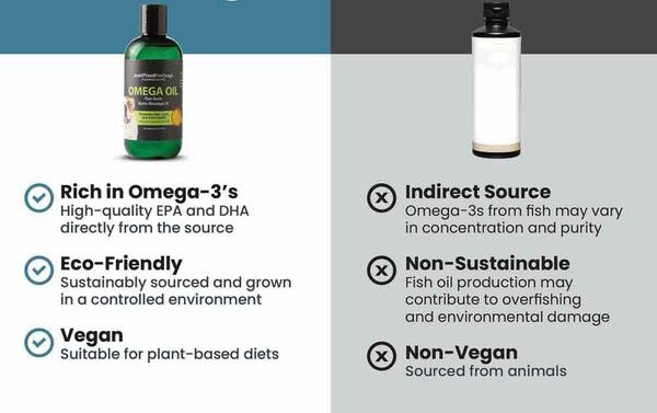 algae vs fish oil for dogs
