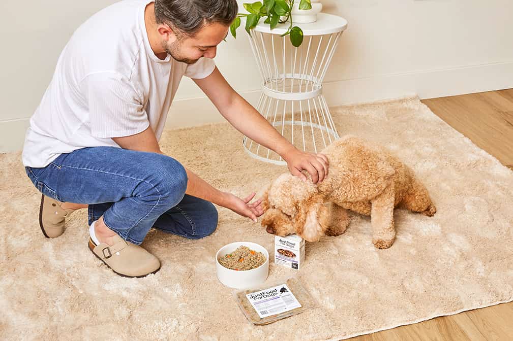 puppy eating food