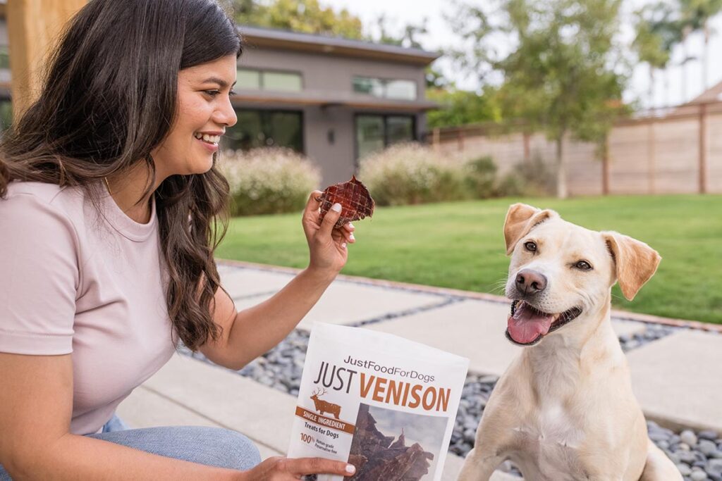 dog getting venison treat