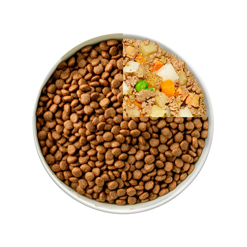 transition dog food 1