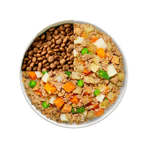 transition dog food 3