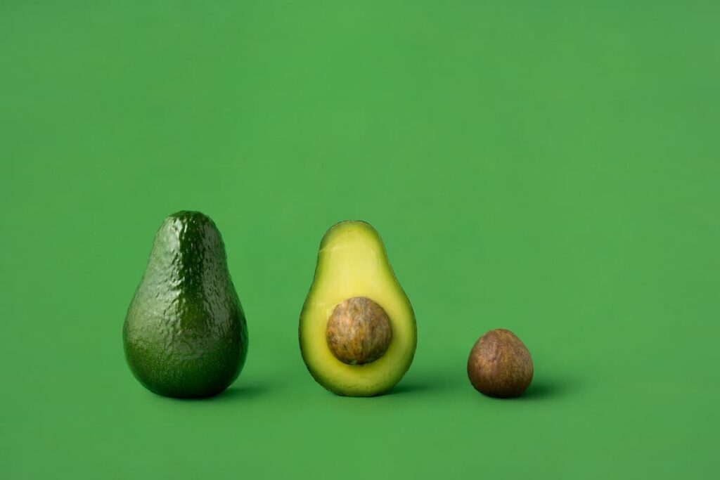 can dogs eat avocado