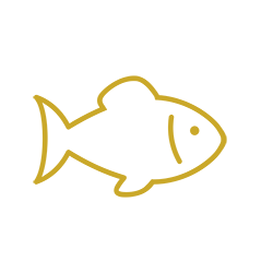 fish icon