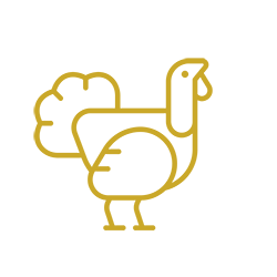 turkey icon