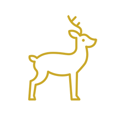venison icon