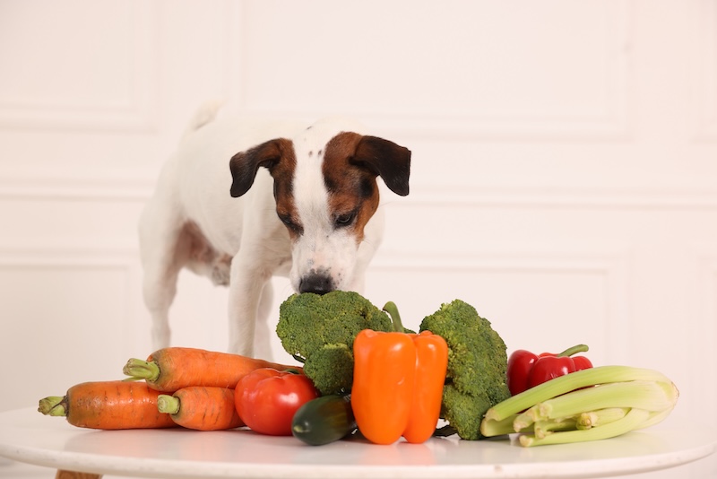 Vegetables for dogs