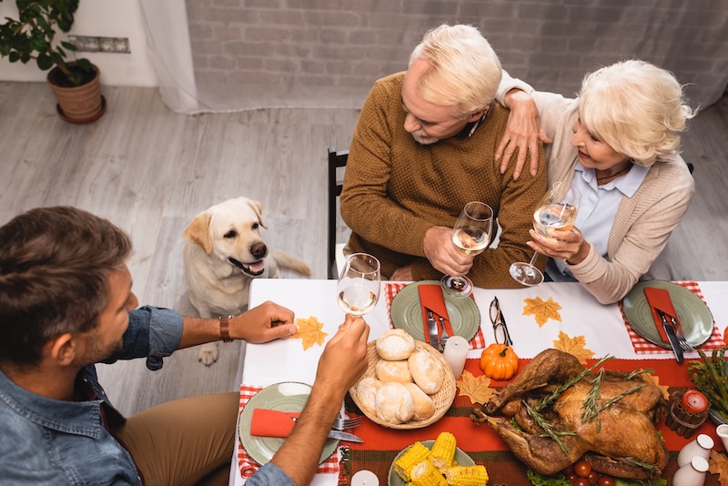 Dog looking at turkey