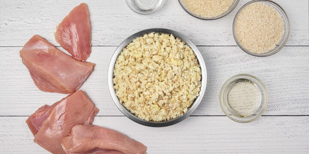 just food for dogs balanced remedy dog food in a bowl with raw ingredients around it