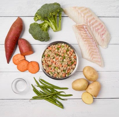 Bloglink Category Nutrition