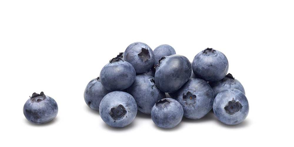 are blueberries good for dogs
