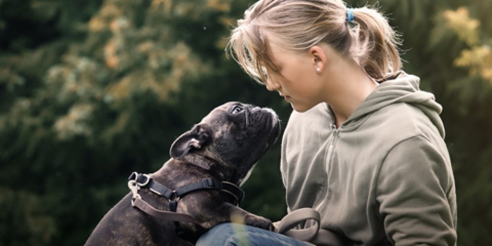 What is your dog trying to tell you?