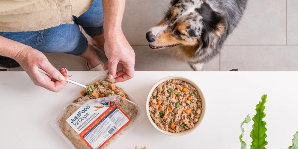 dog anticipating food