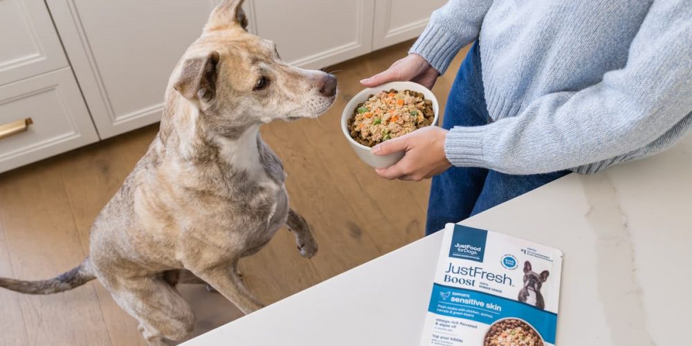 dog getting food with fresh topper