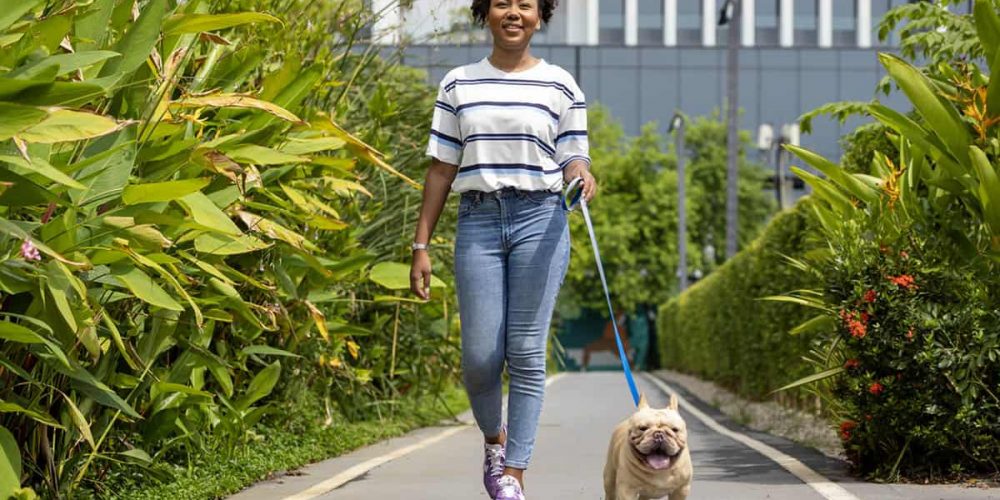 benefits of walking your dog