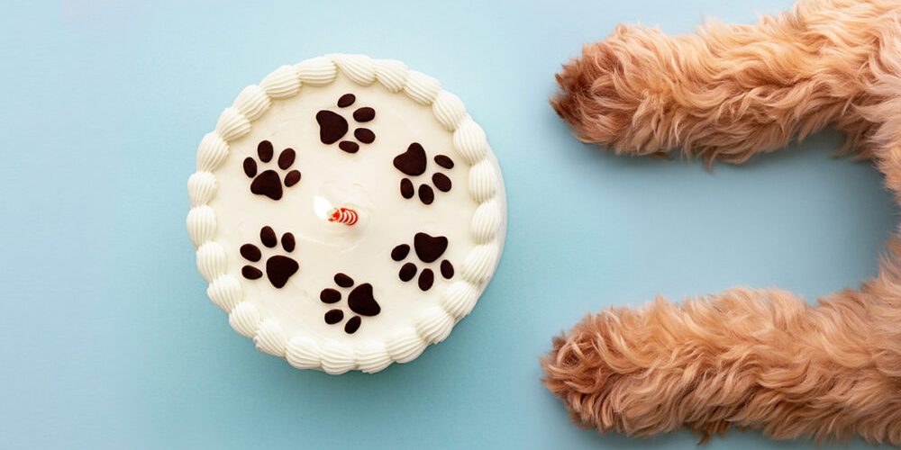 dog cake recipe