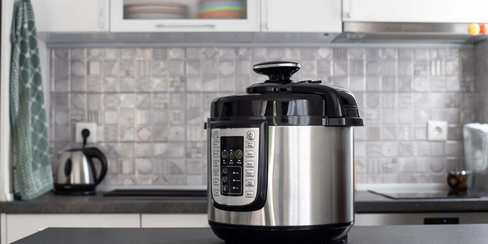 instant pot dog food recipe
