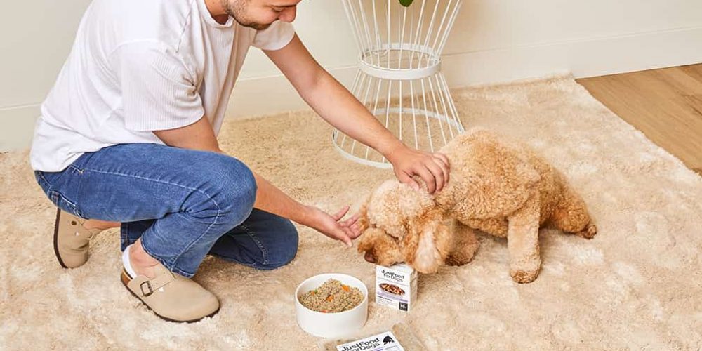 puppy eating food