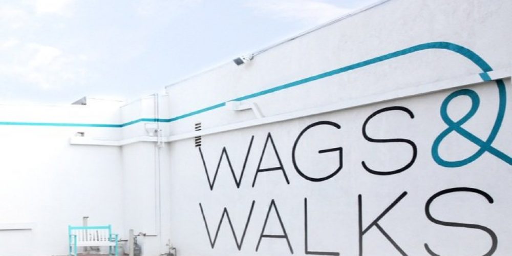 wags and walks