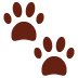 Top 8 Chow Chow Health Issues