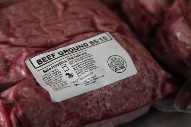 What Human Food Can Dogs Eat? 