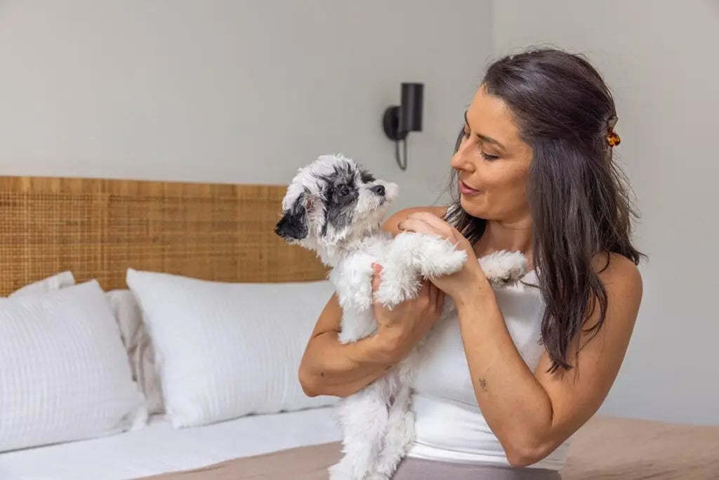 16 Lazy Dog Breeds for Low-Energy Owners