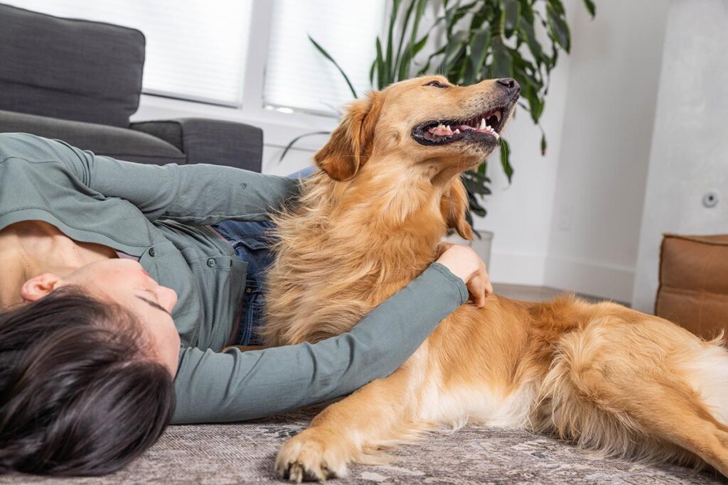 Can Dogs Get The Common Cold?