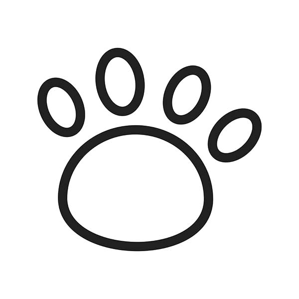 Dog Paws Anatomy & Care Guide