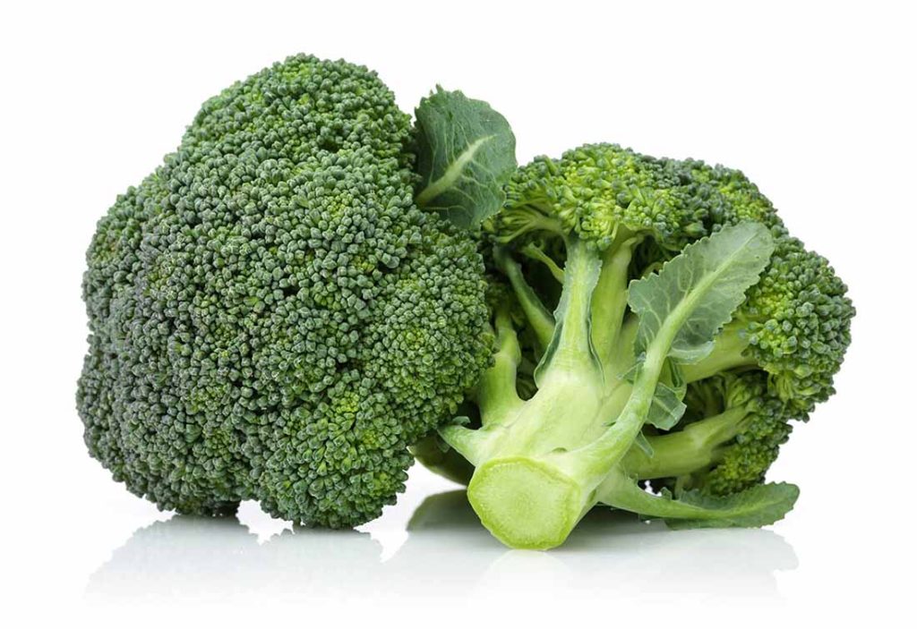 7 Superfoods for dogs: Healthy and easy snacks