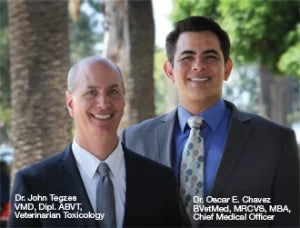 Modern Topics in Nutrition: An Interview with the Experts