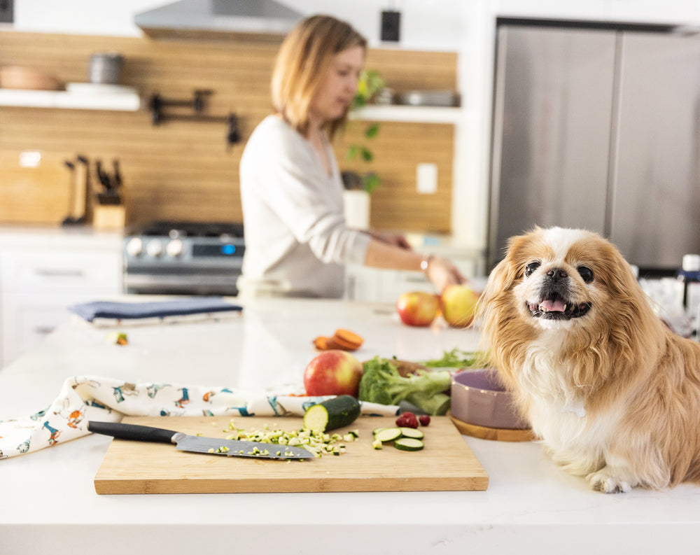 Homemade venison dog food recipe: Easy and vet-approved