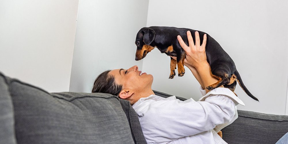 Frequently Asked Questions About Fostering
