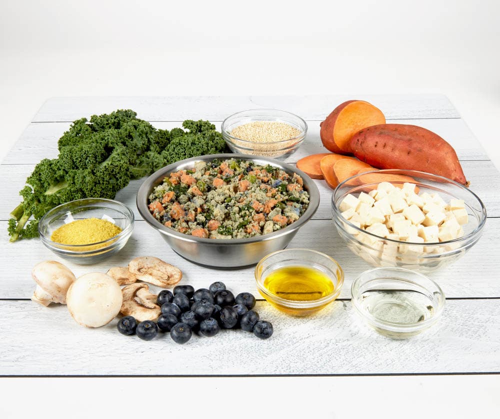 Can Humans Eat Dog Food? What to Know Before Taking a Bite