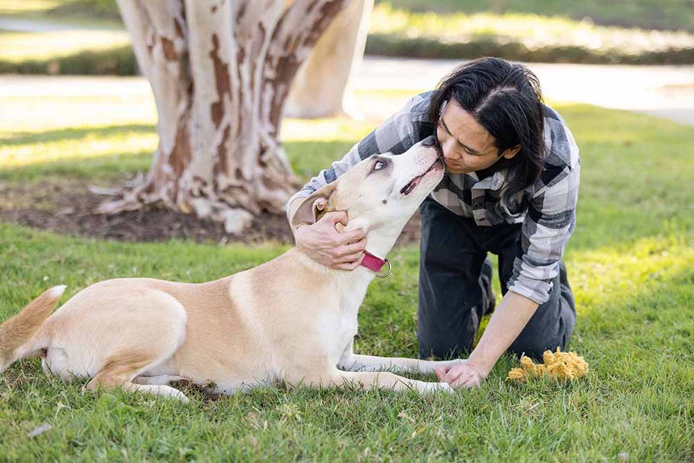 How to Remove a Tick From a Dog