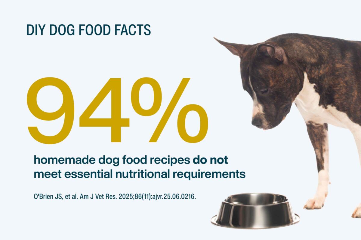 Nutritionally Complete Homemade Dog Food Recipes