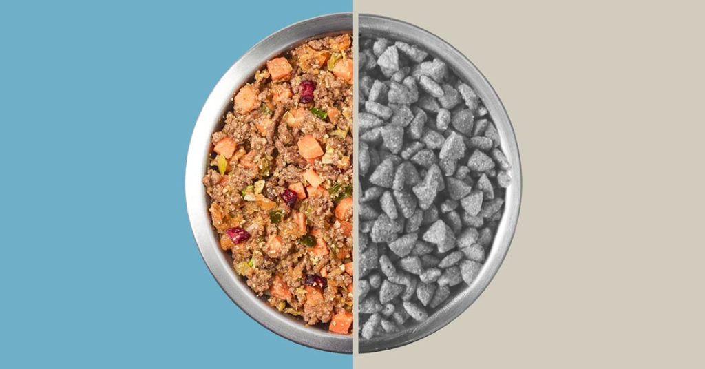 What Is in Commercial Dog Food?