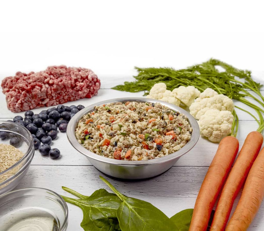 A Guide to Single-Protein Dog Food