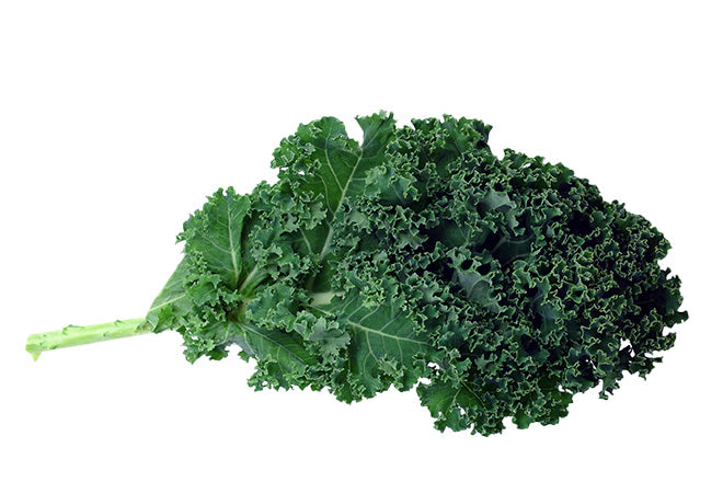 Is Kale Safe for Dogs?