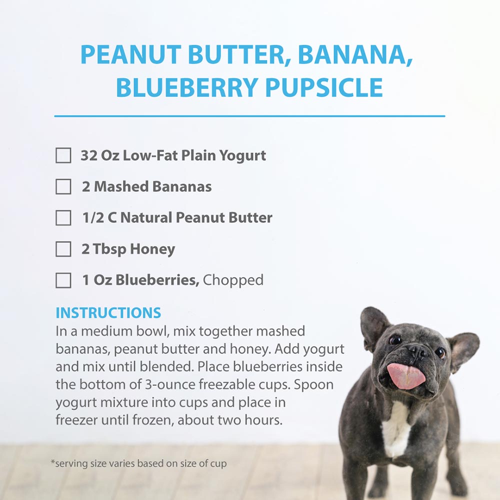 Video: DIY PB Blueberry Banana Pupsicles