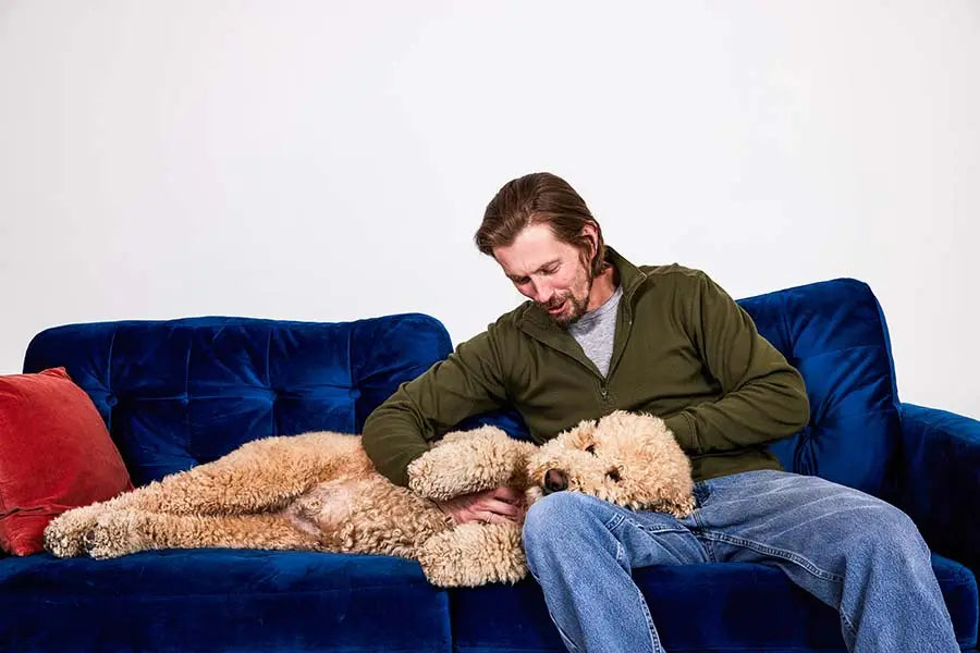 What to Know About Dogs and Daylight Savings Time