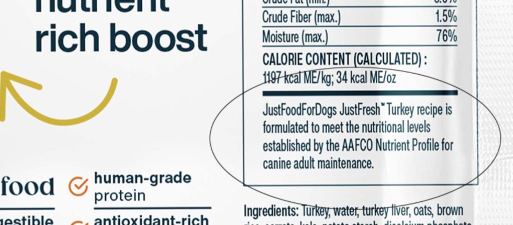 Can dogs eat green beans? A safety guide for dog owners
