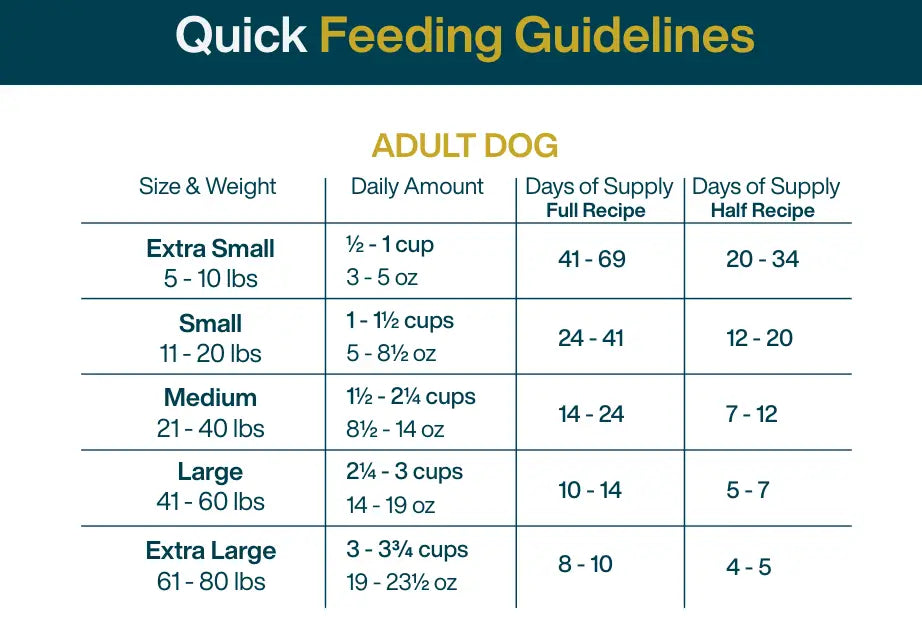 Homemade Instant Pot Dog Food Recipe with Ground Turkey