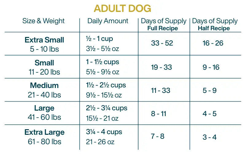 Homemade Dog Food Recipe with Ground Beef