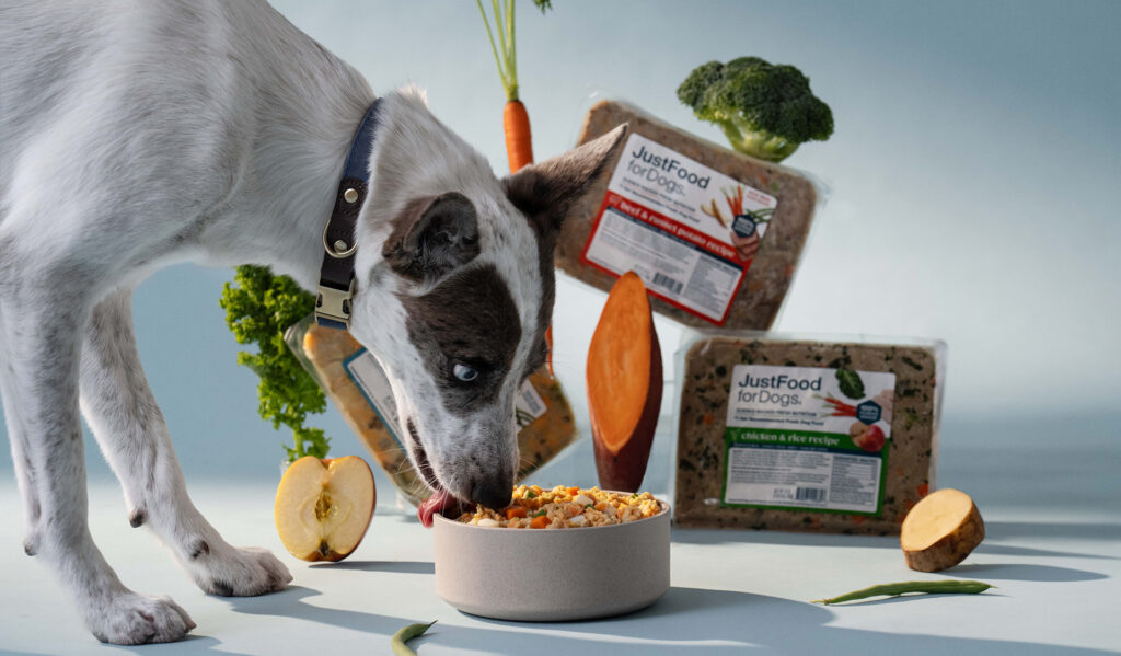 The Pet Food Industry a Decade After the Melamine Recall of 2007