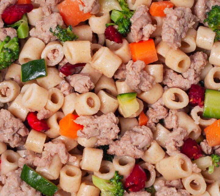 Can Dogs Eat Pasta? All You Need to Know