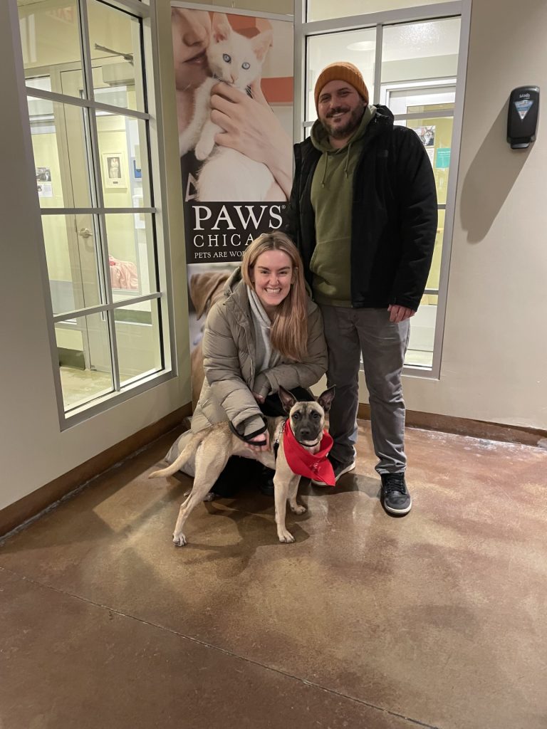 JFFD Adoption Project Partners with PAWS Chicago