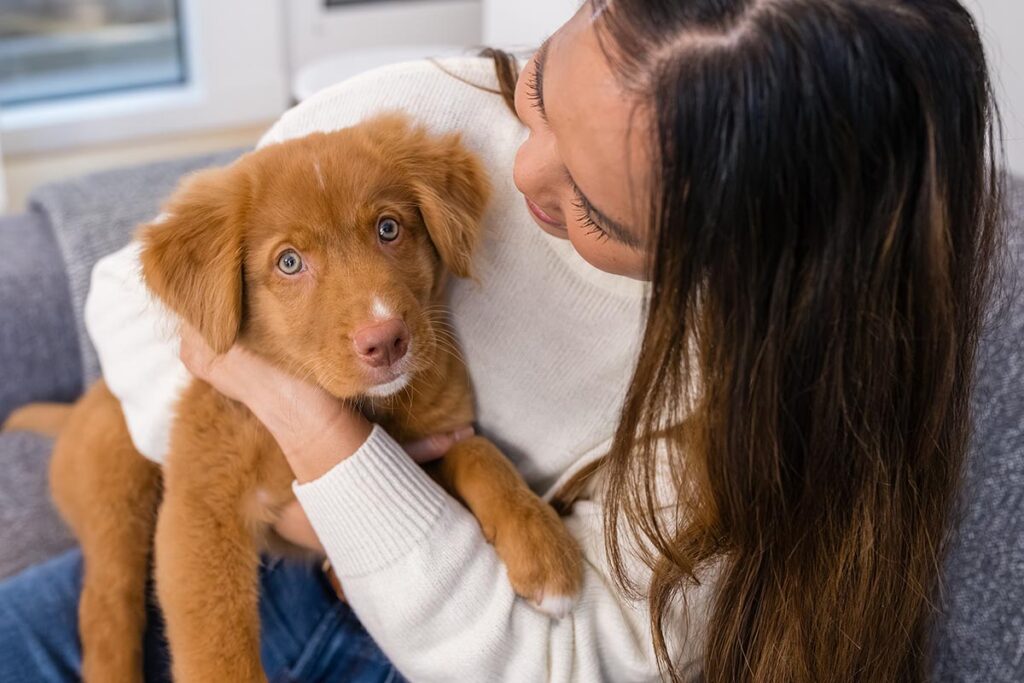 Basic Puppy Training and Practical Tips for New Puppy Parents