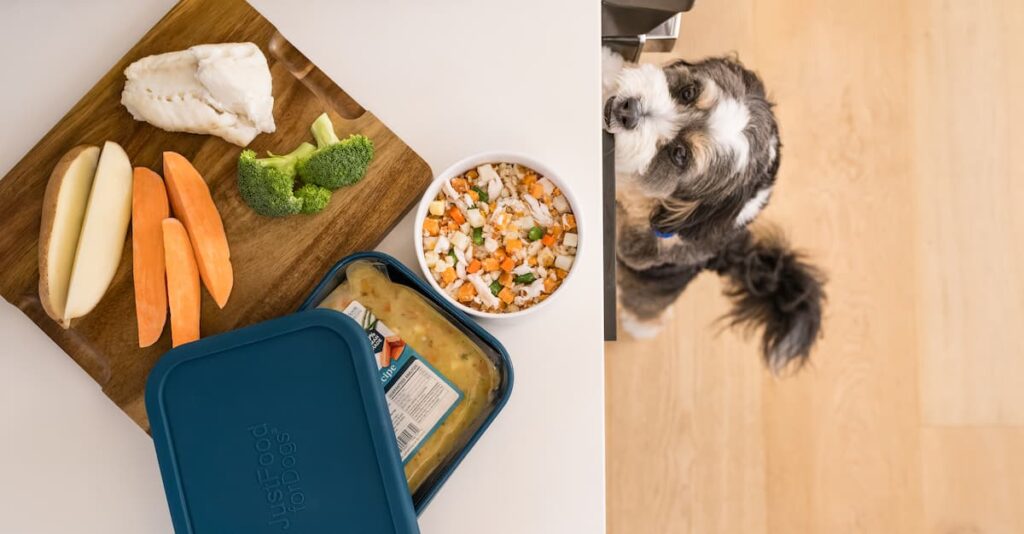 3 Best Puppy Food Options for Healthy Growth