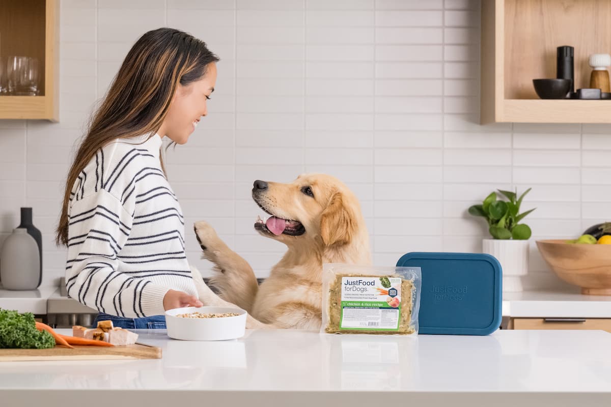 Why Ingredient Transparency Matters in Fresh Dog Food